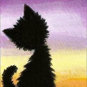 Meet your Posher, Jingwei